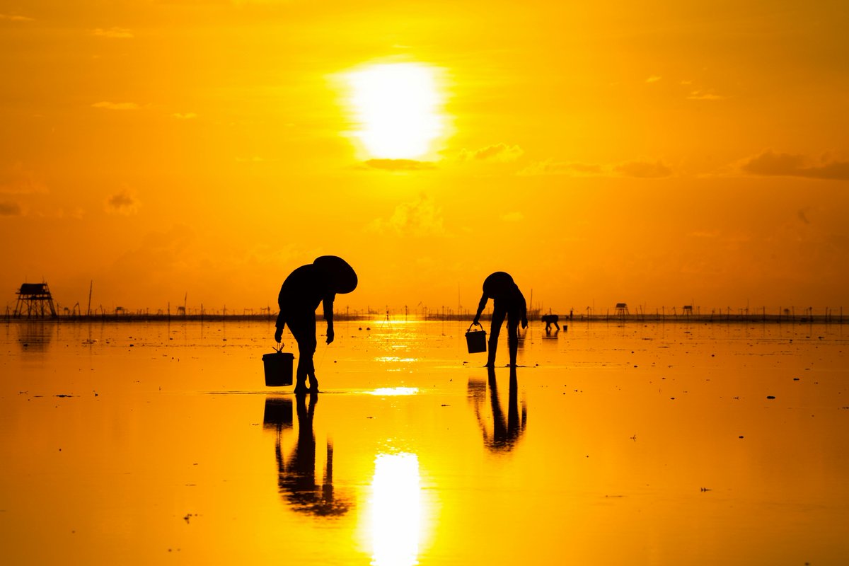 eidolocal tweet media