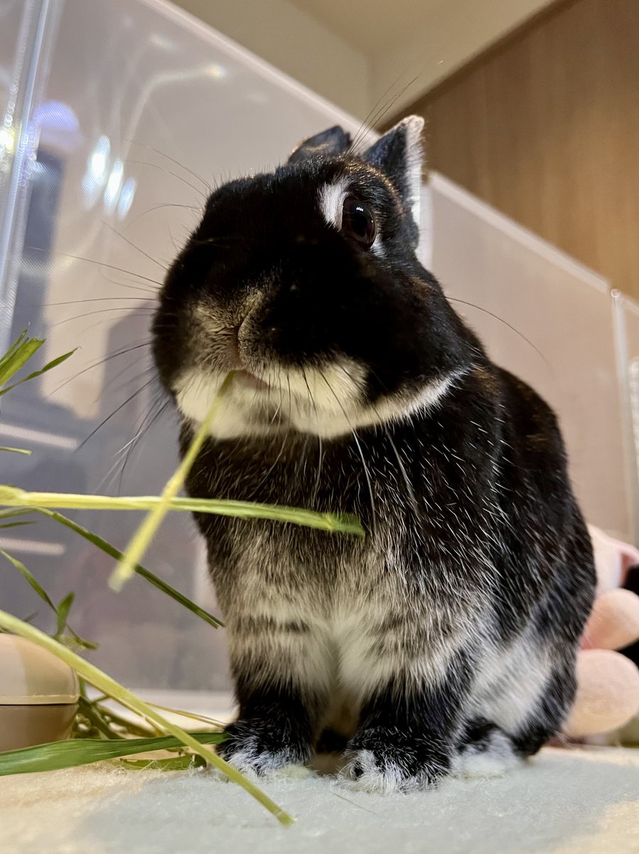 さんた tweet media