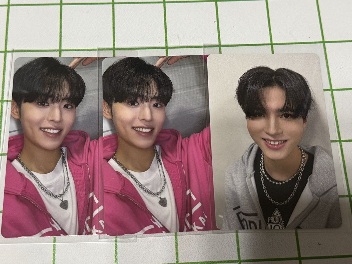 🕊️🐉 tweet media