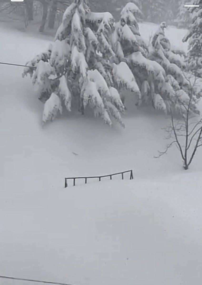 Italia 24H Live 🔴 – Notizie dall'Italia tweet media