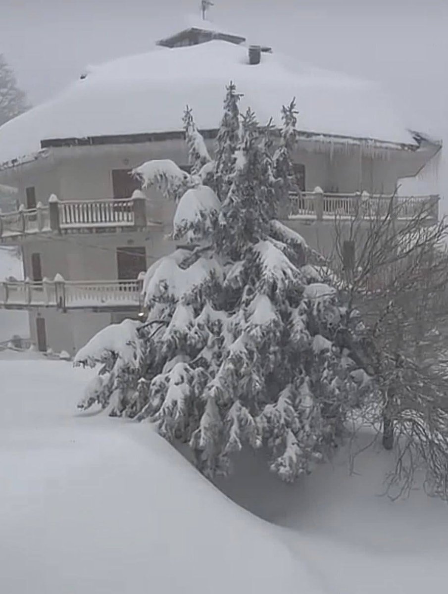 Italia 24H Live 🔴 – Notizie dall'Italia tweet media