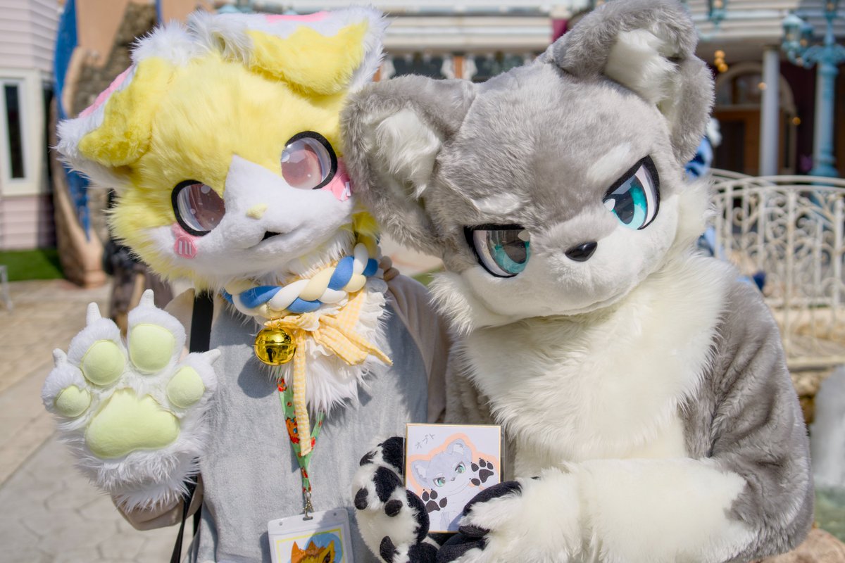 オプト🐾 tweet media