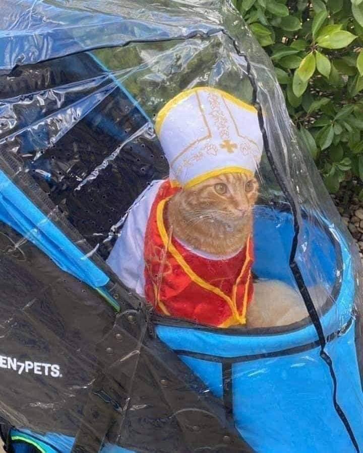 marisa || conrad fisher's left hand pr manager tweet media