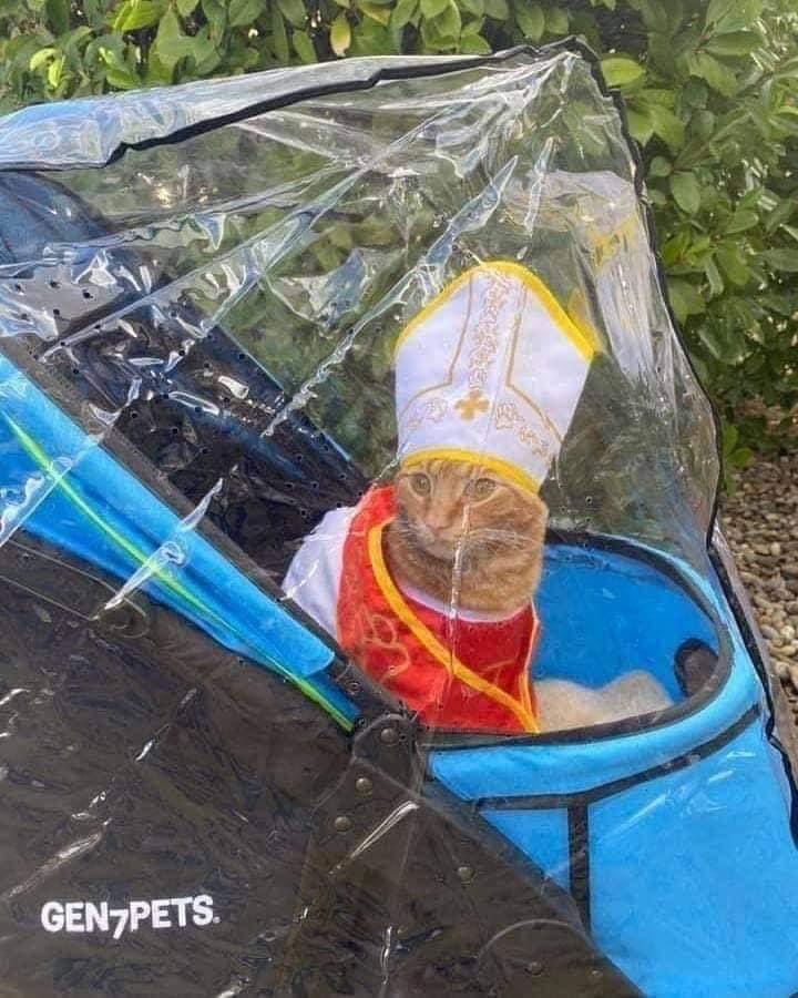 marisa || conrad fisher's left hand pr manager tweet media