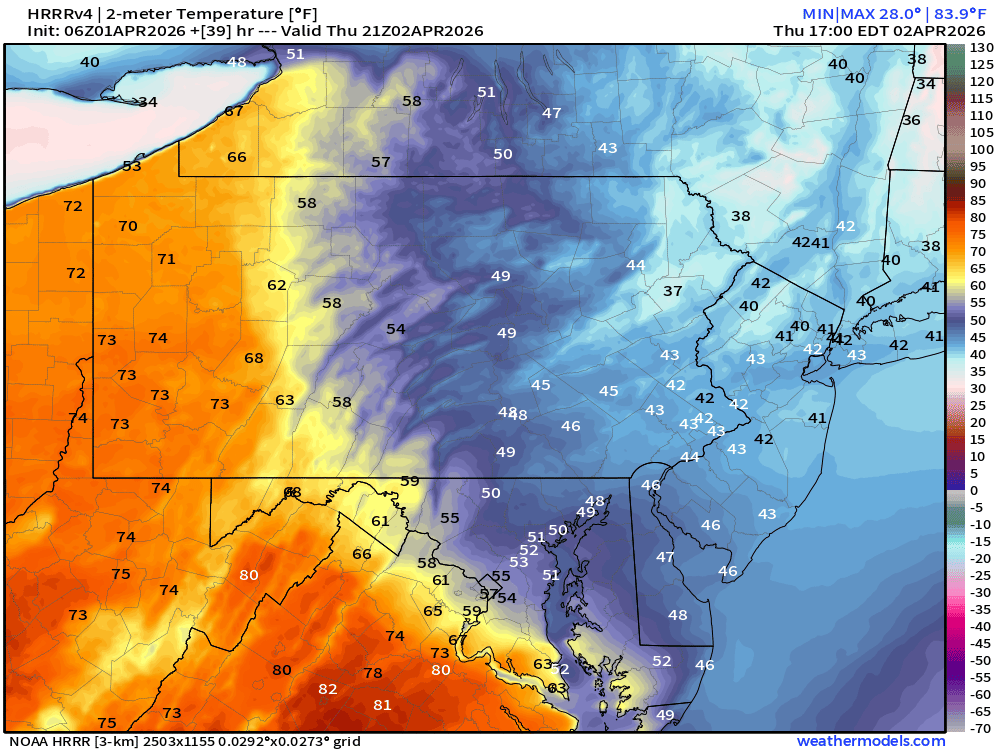 Stephen Eckhardt ☀️ tweet media