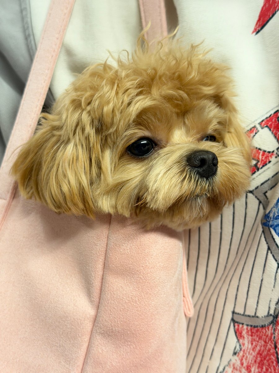 러뷰우 tweet media