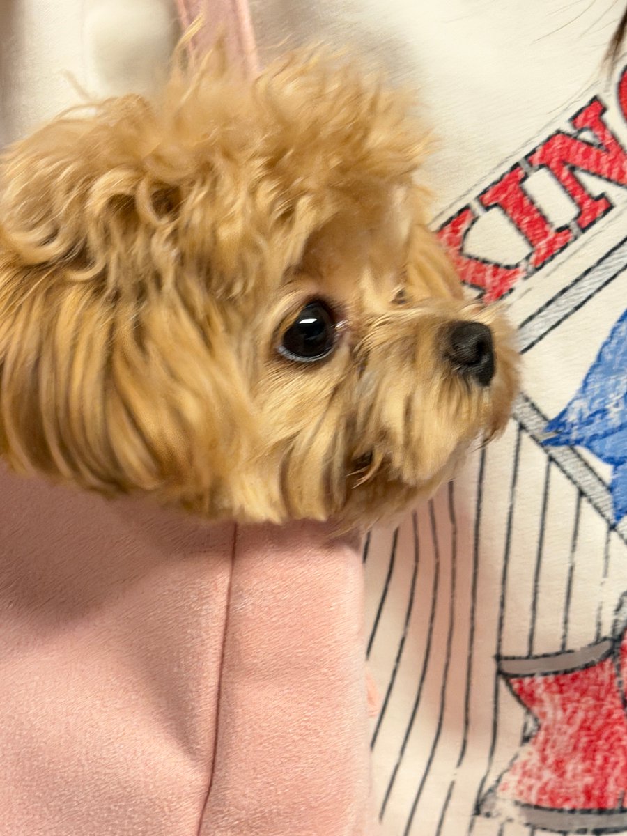 러뷰우 tweet media