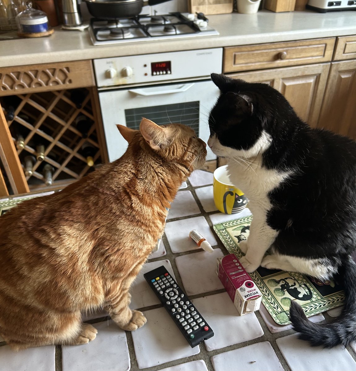 D.V. Catt tweet media