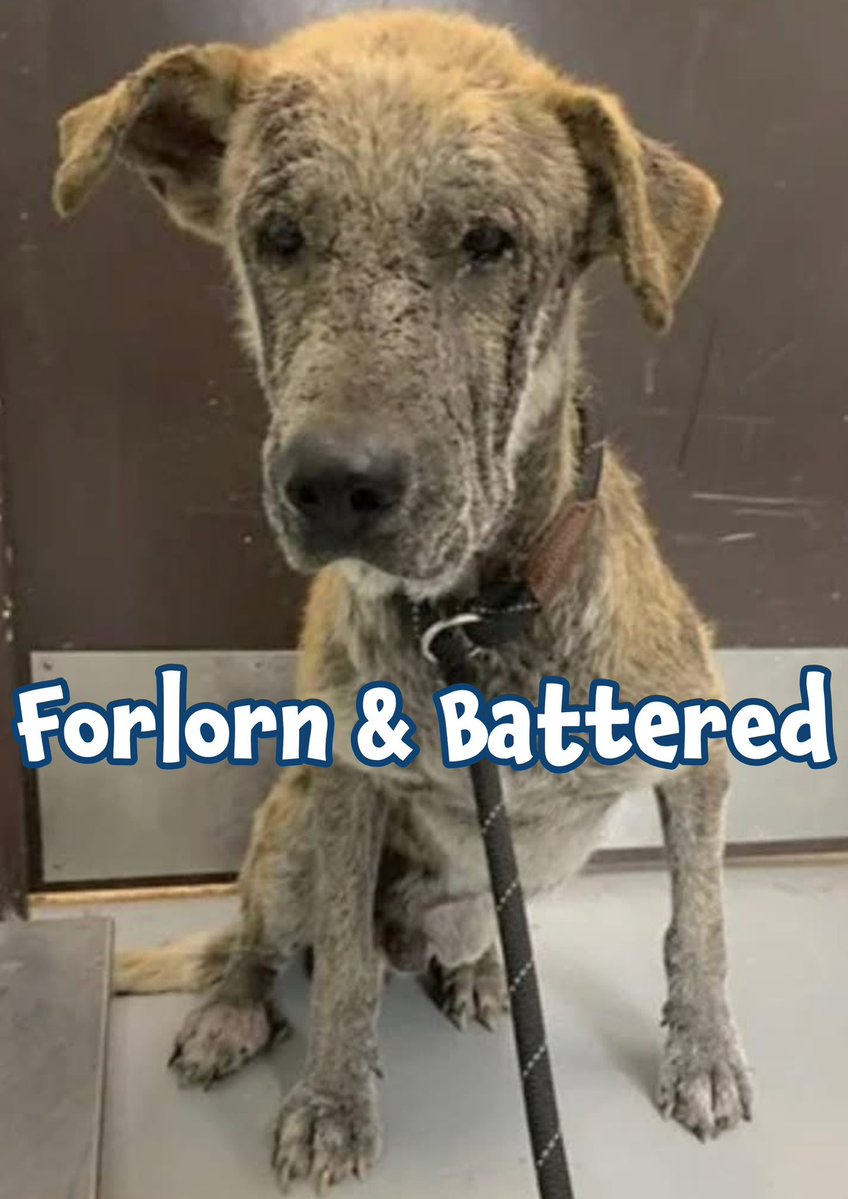 RoCo🇬🇧God Save The King🇬🇧 tweet media