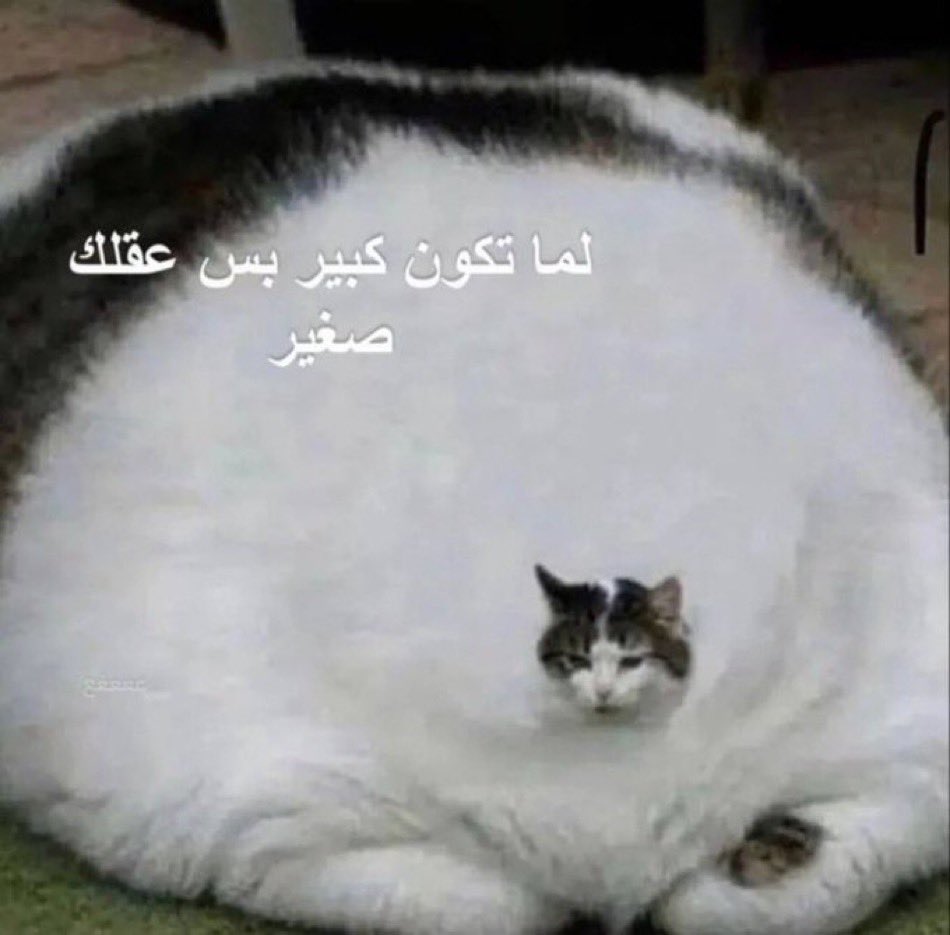 زيكو #99 tweet media