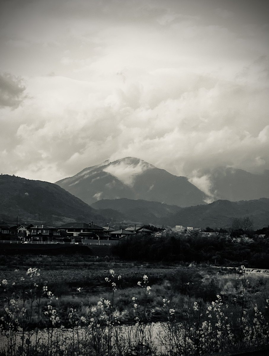 Sangita Myska tweet media