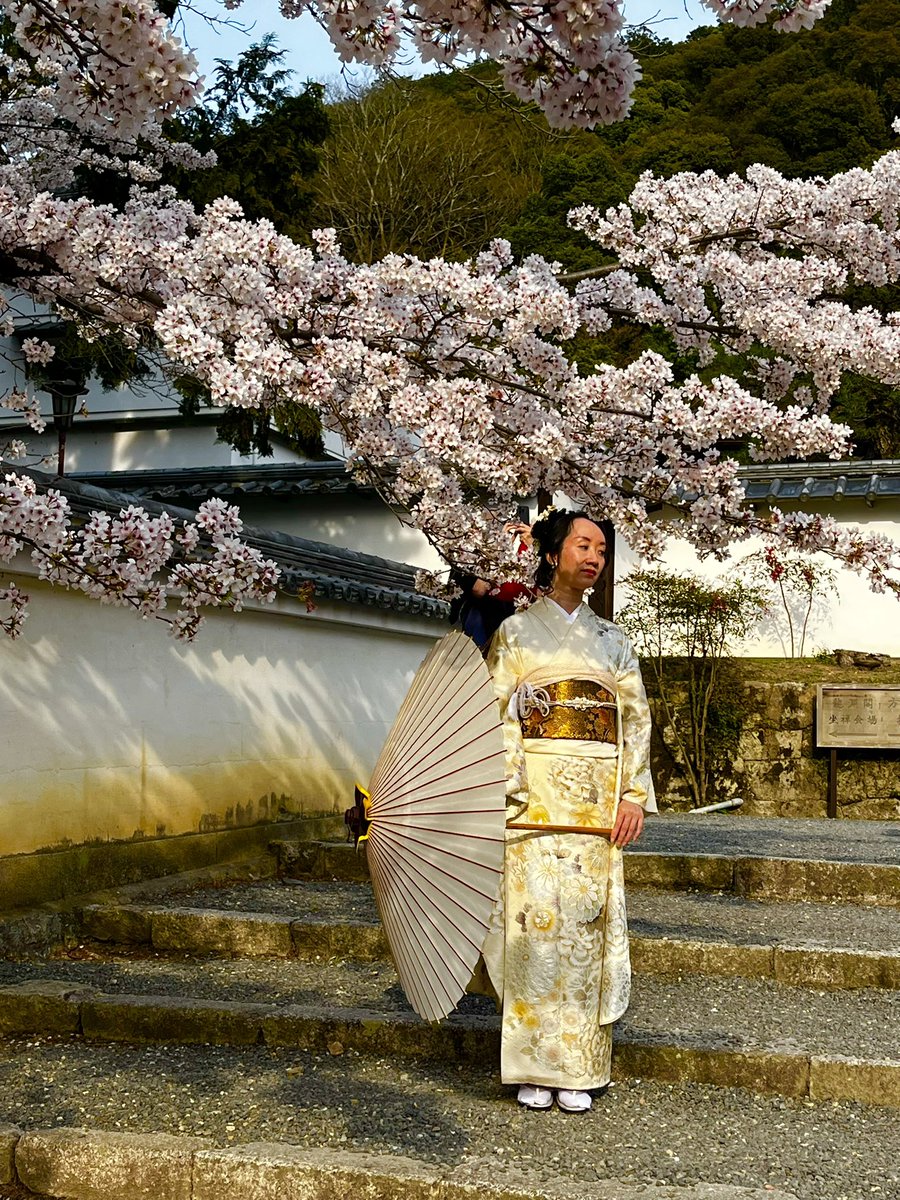 Sangita Myska tweet media