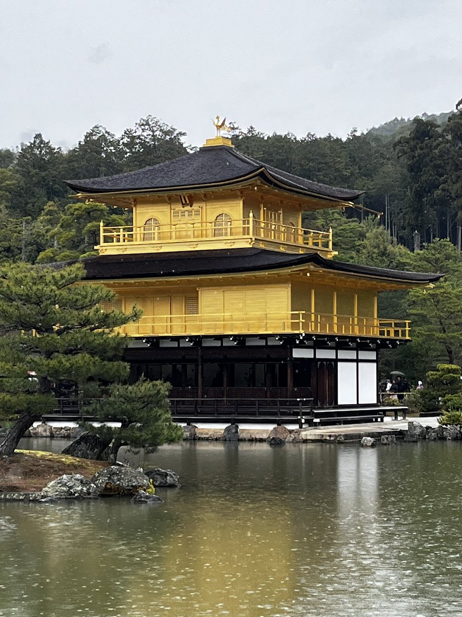 Sangita Myska tweet media