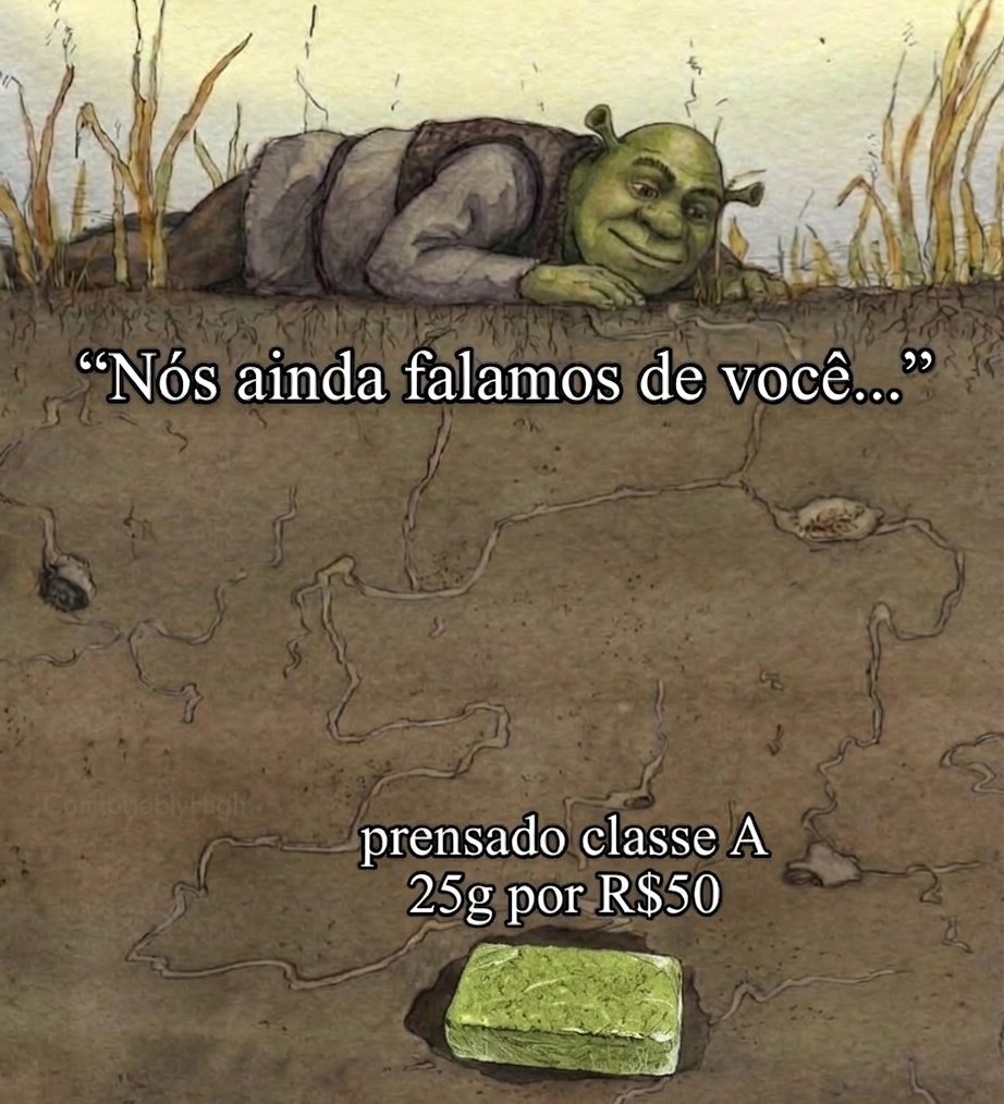 você já comprou por esse valor?🍁 tá pagando quanto? 🤔