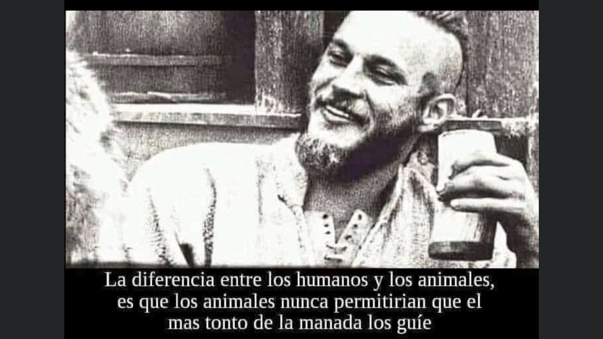 Martí de Montdarn tweet media