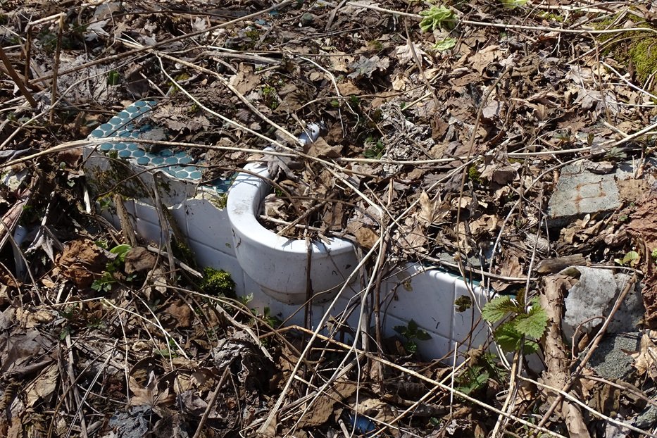 秘境通のなべ tweet media