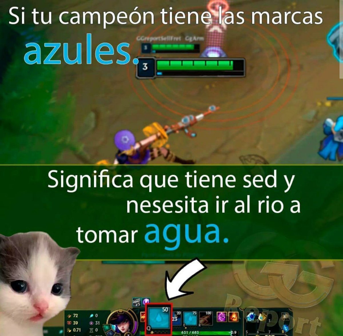 ❄️Ahirü❄️ tweet media