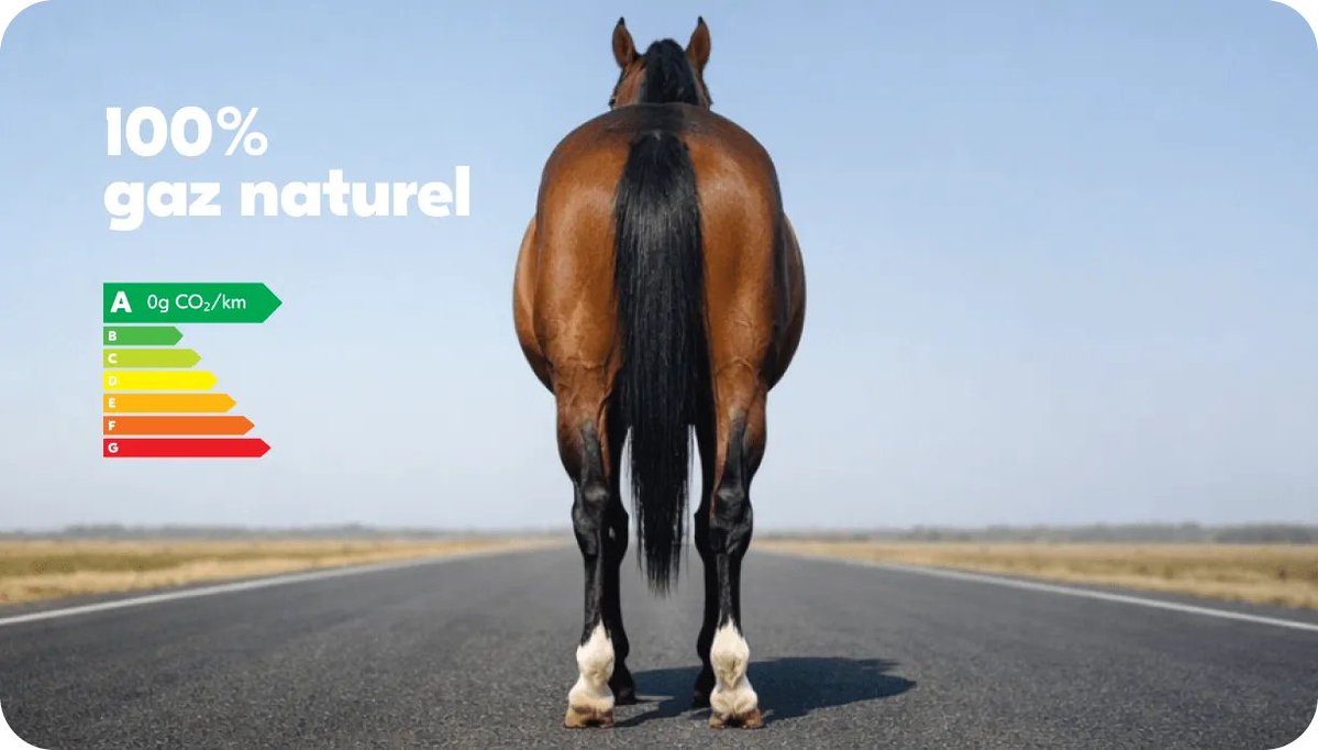 Cac's 🌵 tweet media