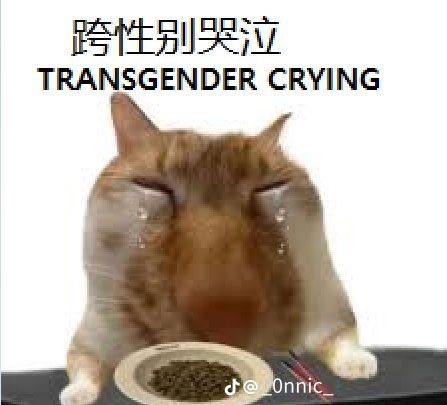 Vee ☆ The Struggler ⚢ tweet media