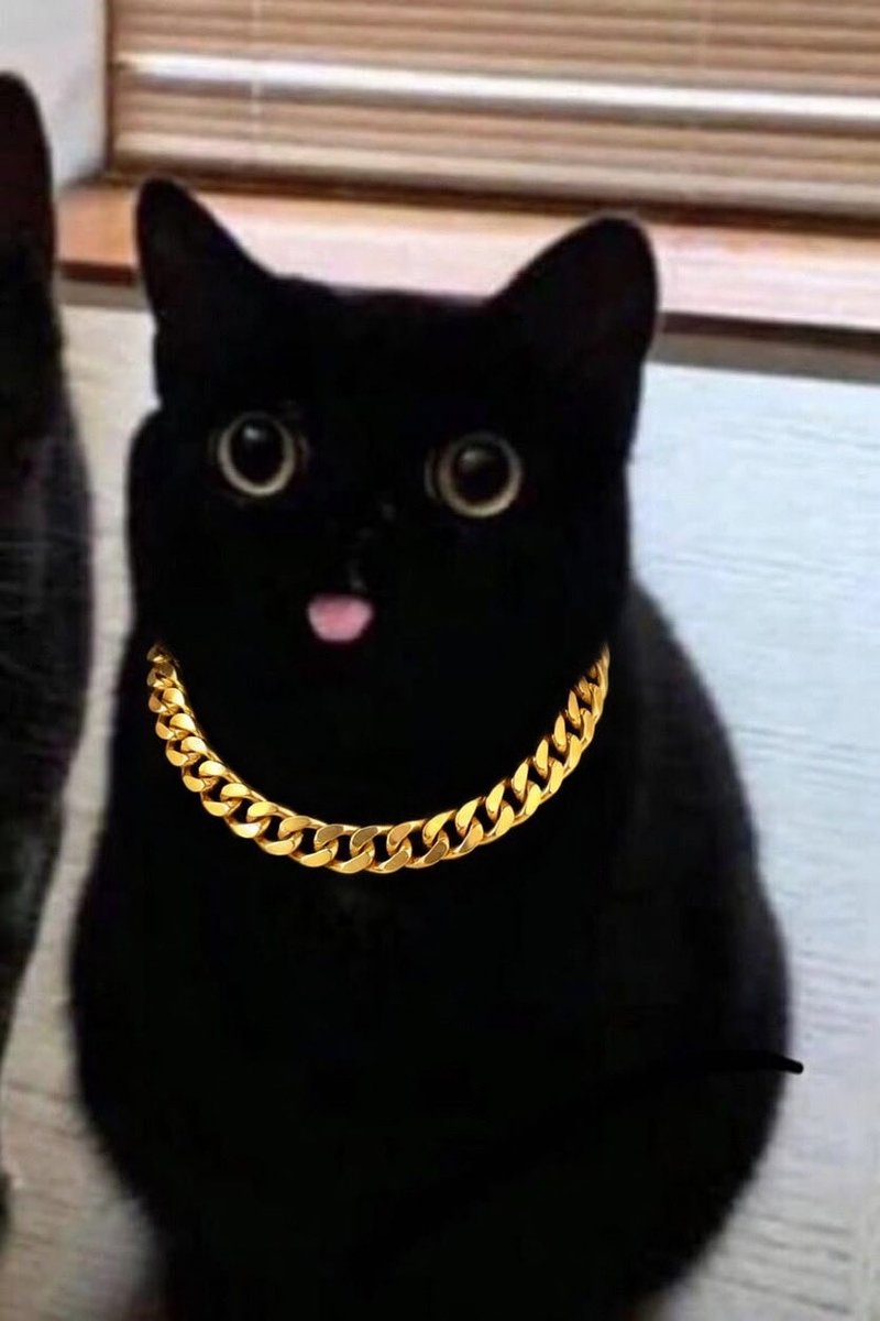 An Actual Cactuar tweet media