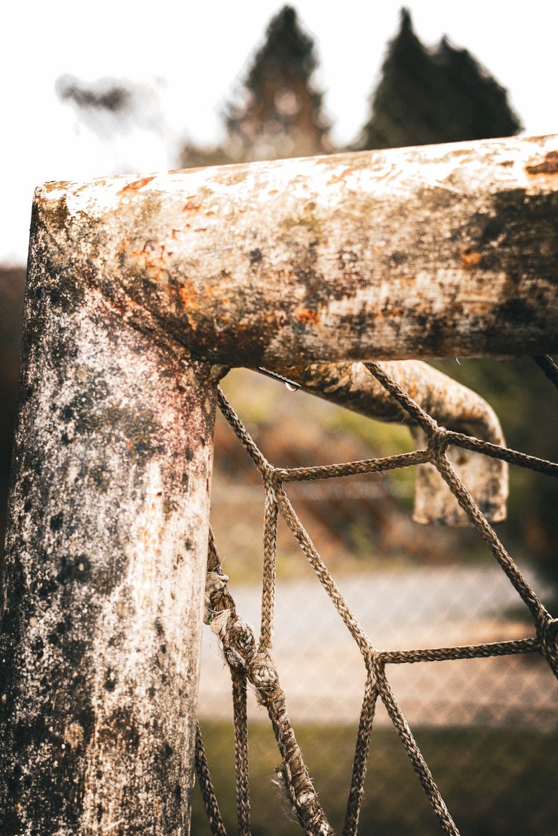 Staantribune tweet media