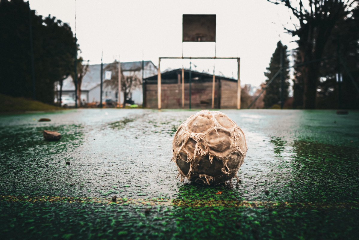 Staantribune tweet media