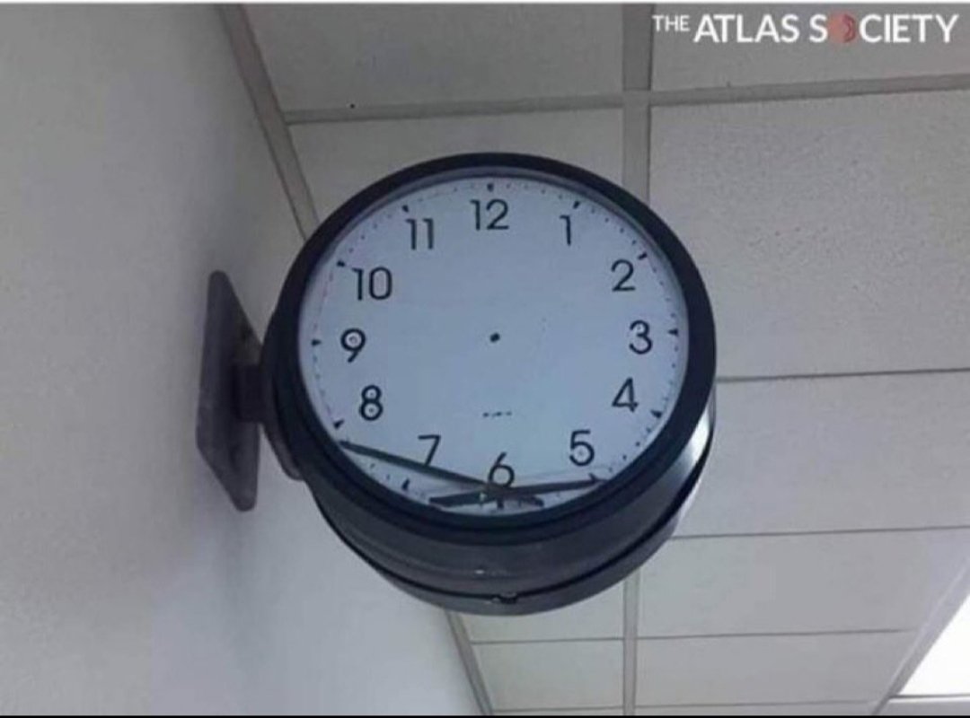 the moops tweet media