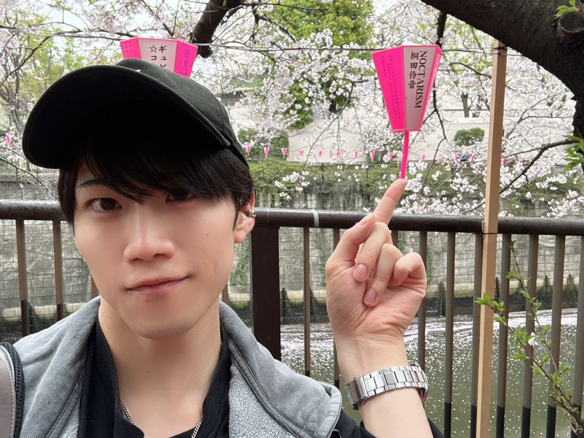 桐田伶音(NOCTARISM) tweet media