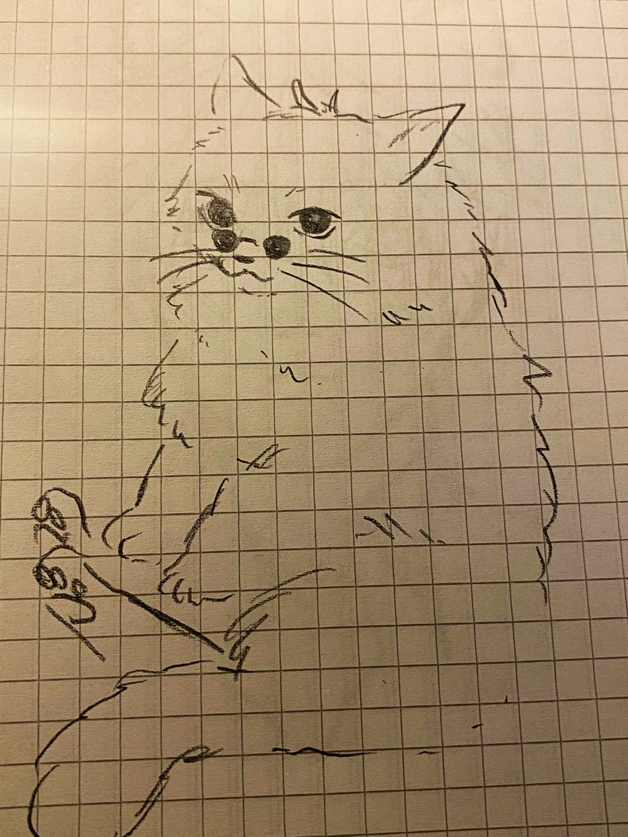 ｃｏｃｏ tweet media