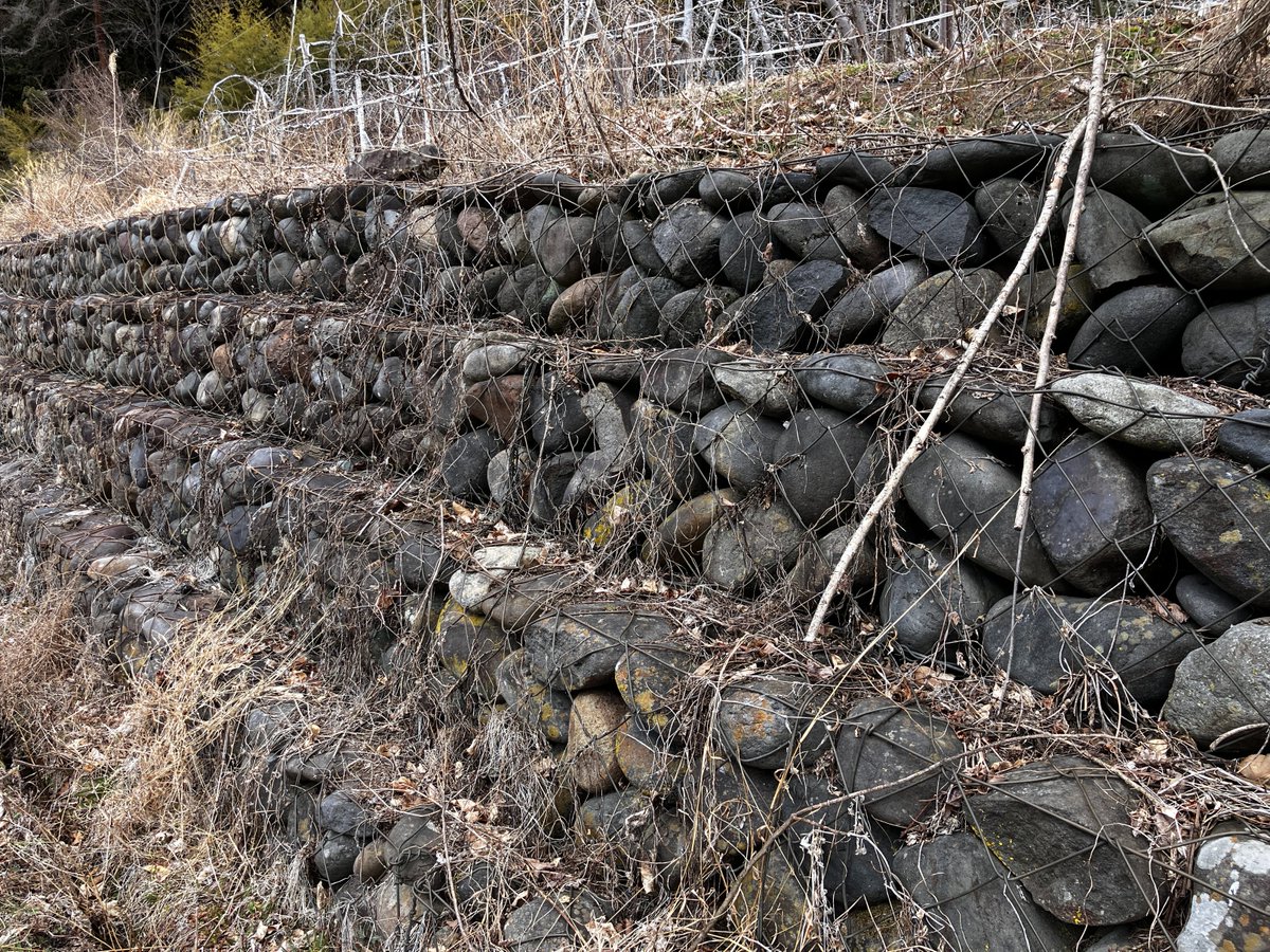 なんなん tweet media