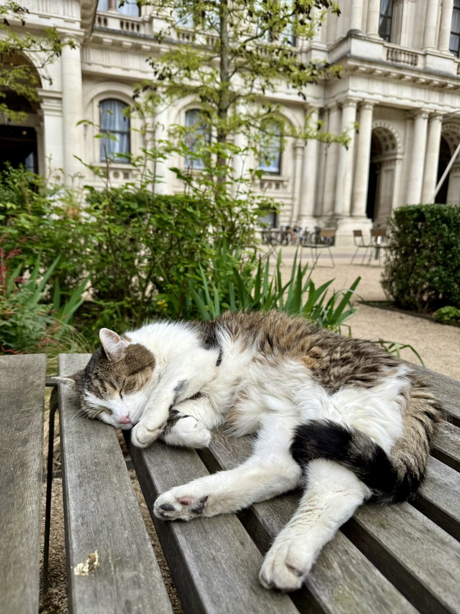 AdamPileUK🇬🇧 tweet media