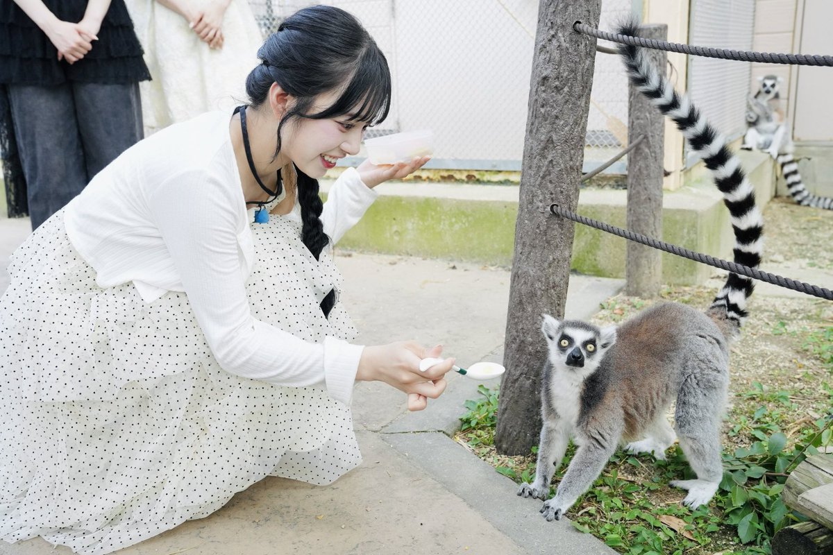 りり@あやこは推し💙🩶 tweet media