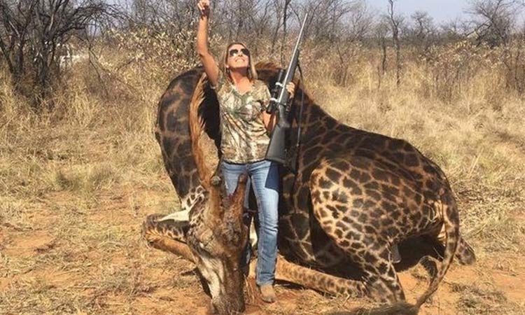 Abongile tweet media