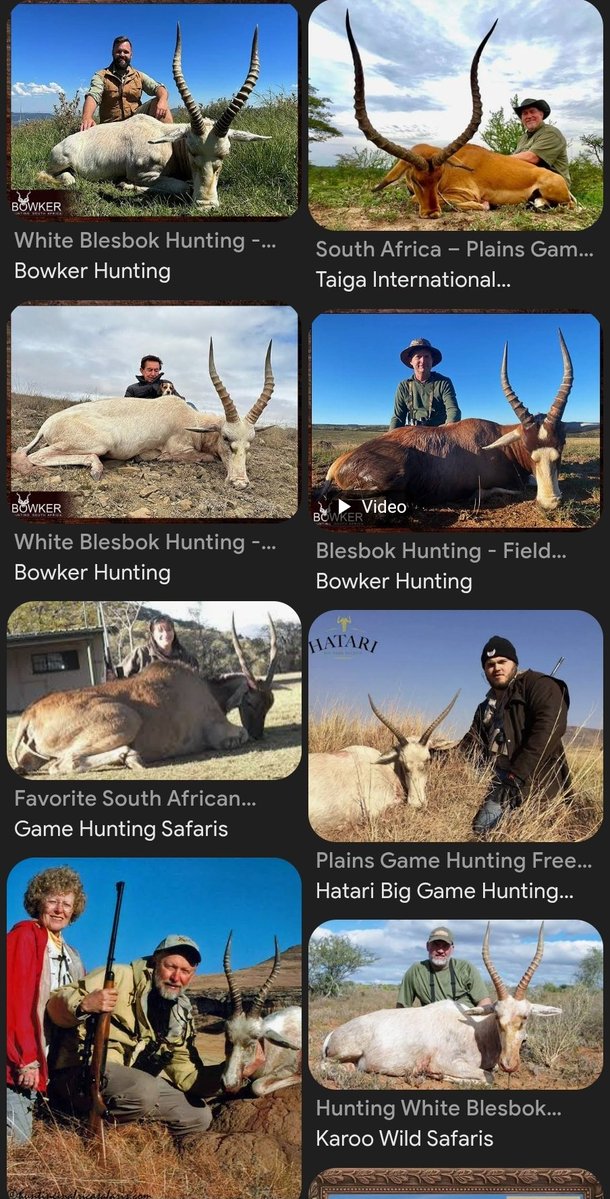 Abongile tweet media