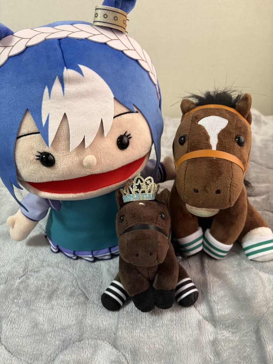 シュウ tweet media