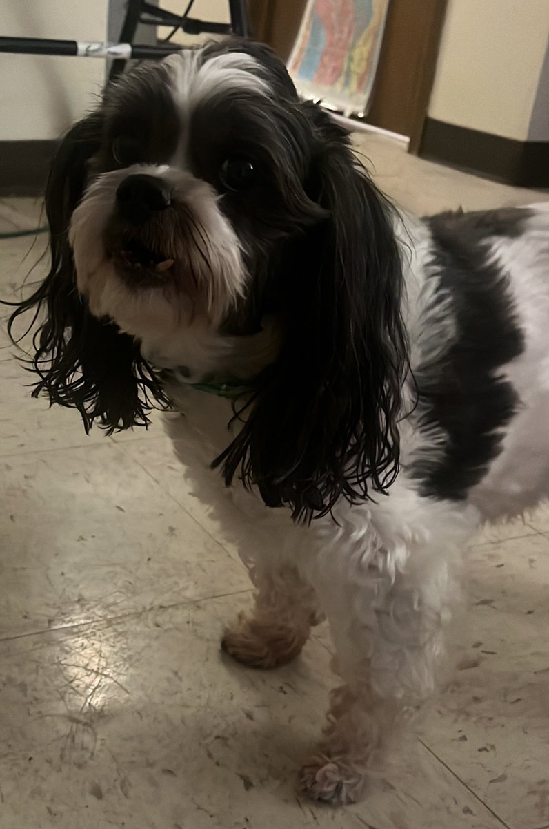 Sam 🇺🇸 tweet media