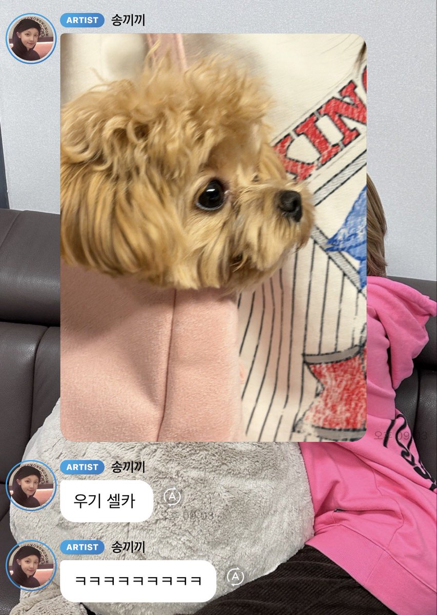 ㅌㅋ🎣🐈‍⬛ tweet media