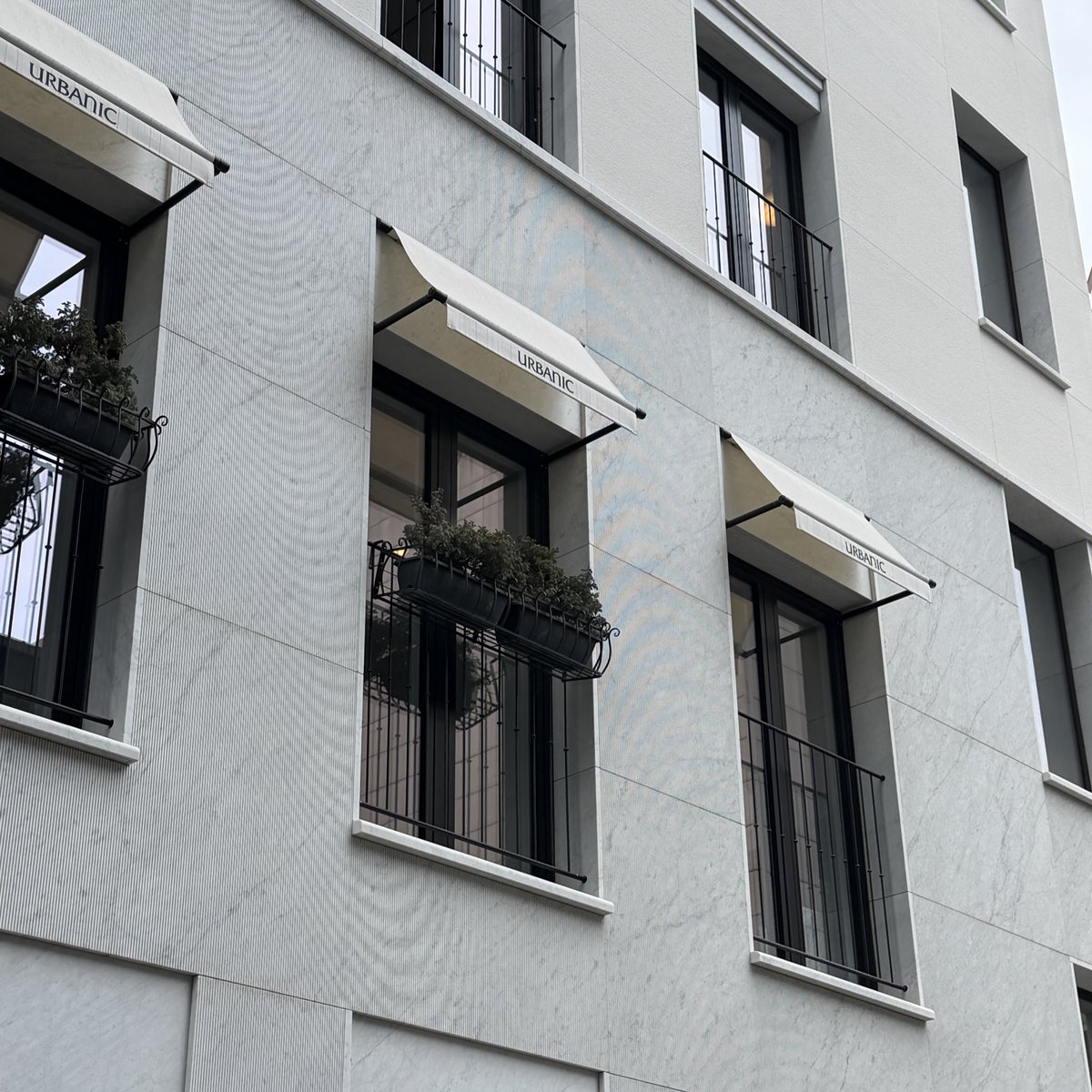 あち🌿 tweet media