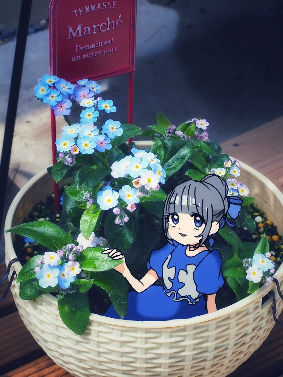 ちゃんちゃん tweet media