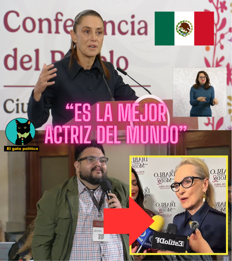 El gato político tweet media