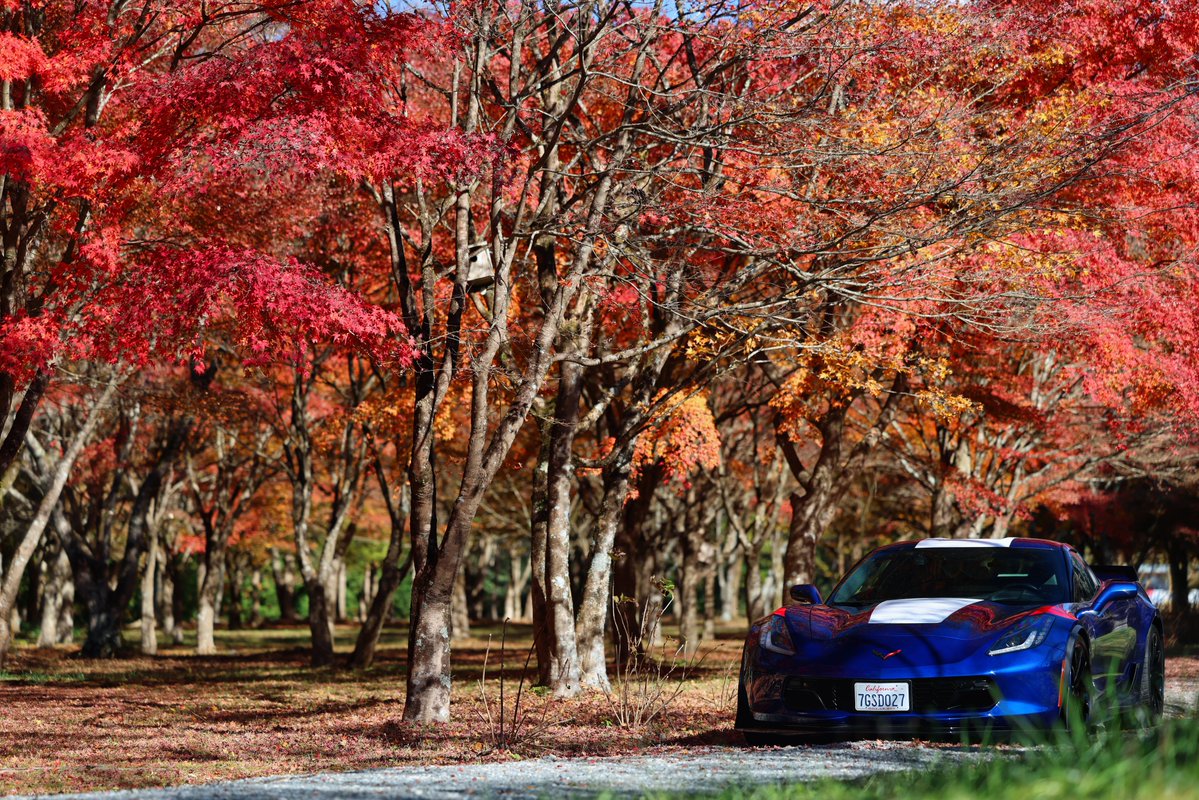 めいにあ( '-' 🐳) tweet media