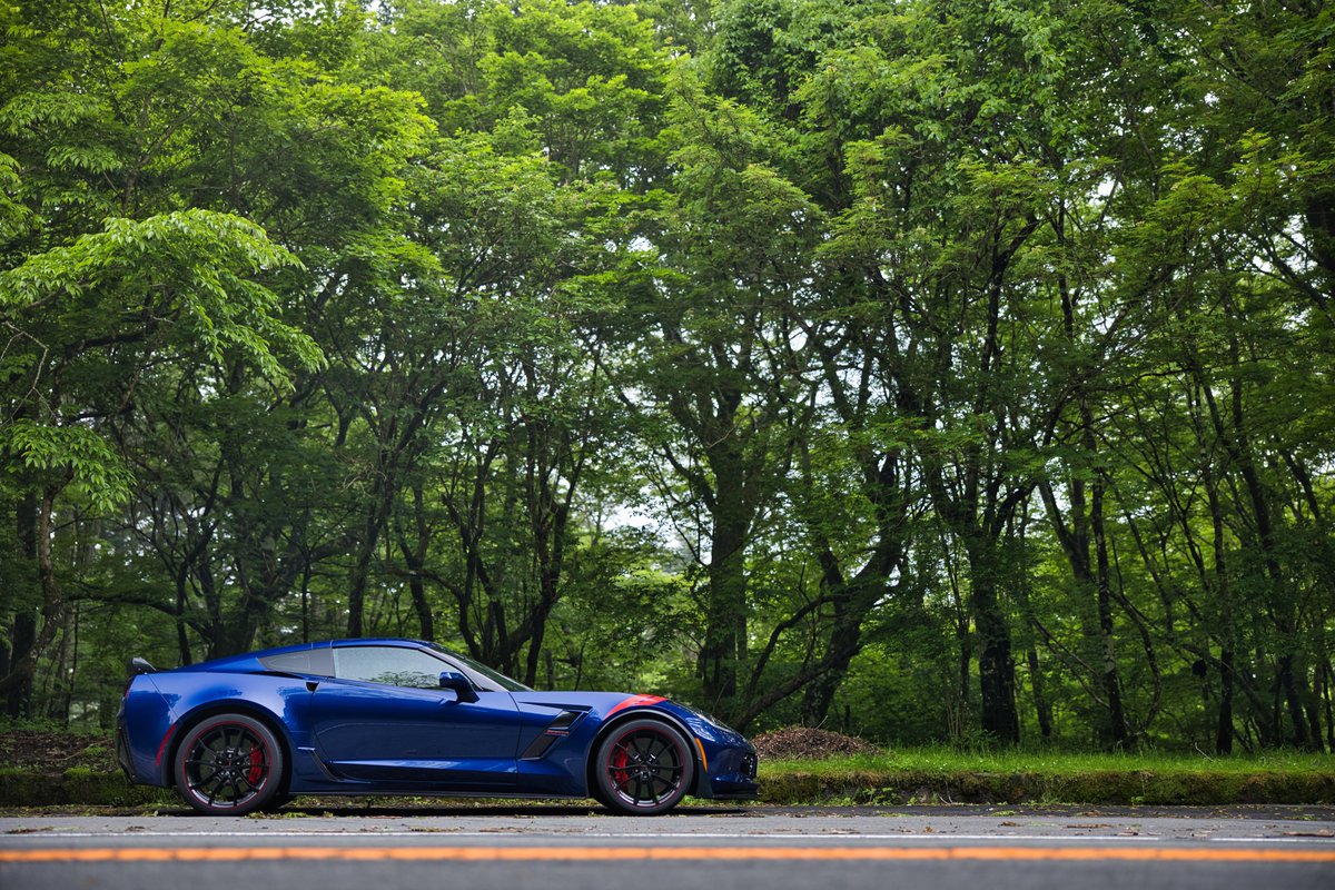 めいにあ( '-' 🐳) tweet media