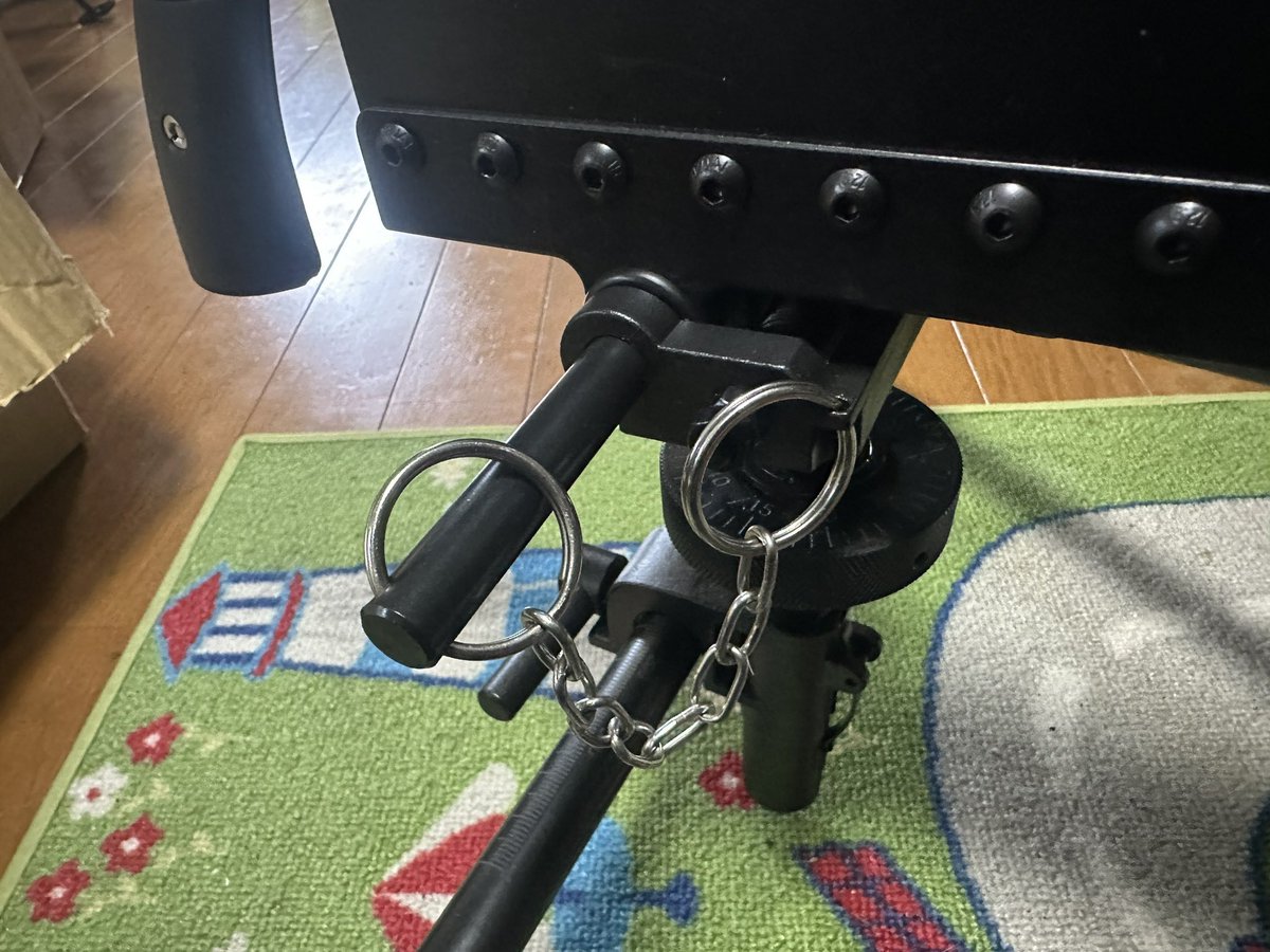 phantom BEE tweet media