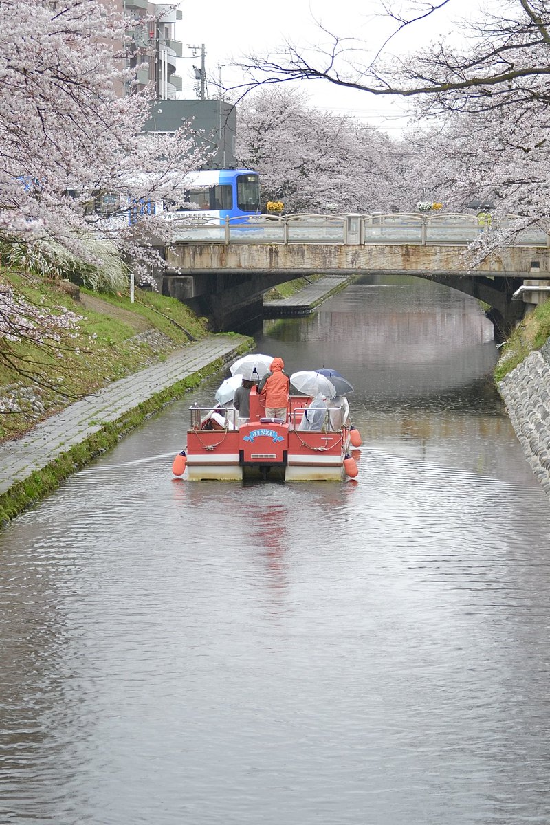 セバスチャン⚠️マネージャーです【ぶらっくすわん情報】 tweet media