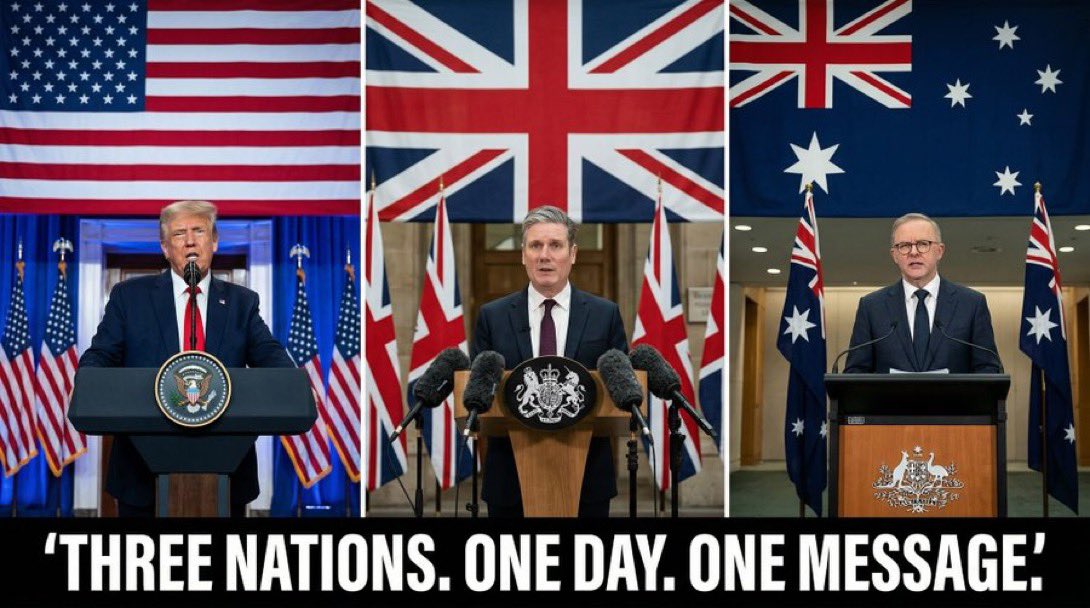 Noah’s Ark 🚢 tweet media