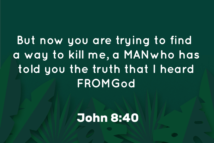 Trinity Lie tweet media