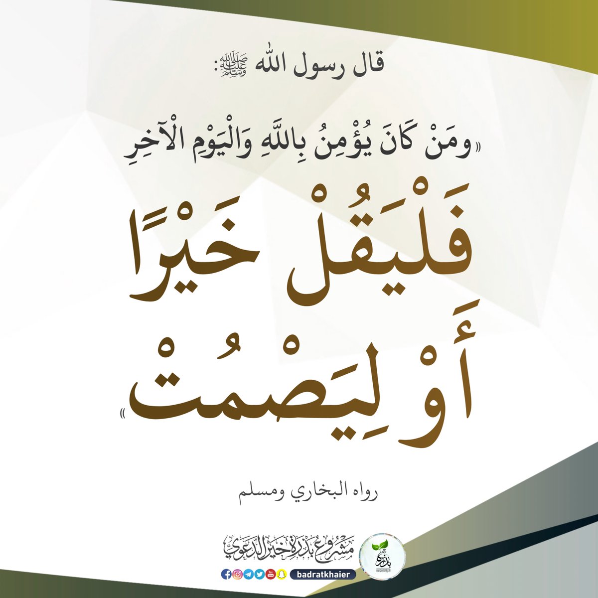 بذرة خير tweet media