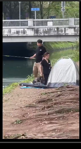 老司机大作战 tweet media