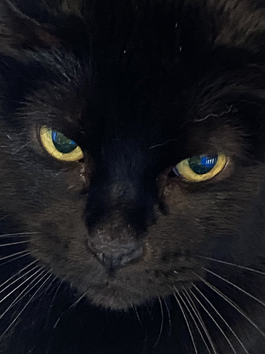 Vero Islas tweet media