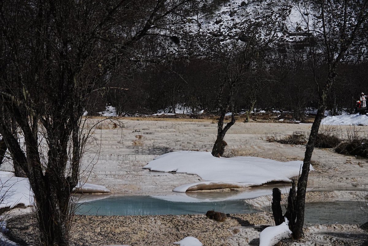 notebook tweet media